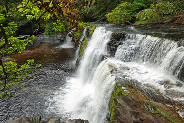 waterfall in the forest