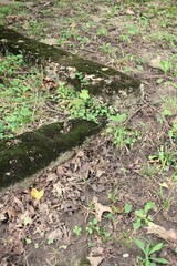 Old worn and weathered concrete foundation of an abandoned home.