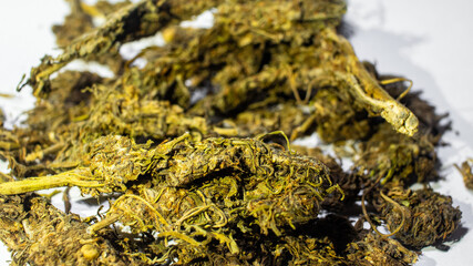 Marijuana buds on a white background. A stock photo of Medical Marijuana. Perfect for projects about Medical, News, product