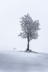 Minimalist tree with monument in the middle of winter