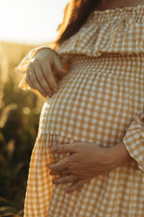pregnant tummy of a woman in a country dress close-up. big belly of a pregnant woman standing in a field at sunset.