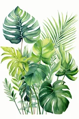 Poster de jardin Monstera Tropical background with palm and monstera leaves 