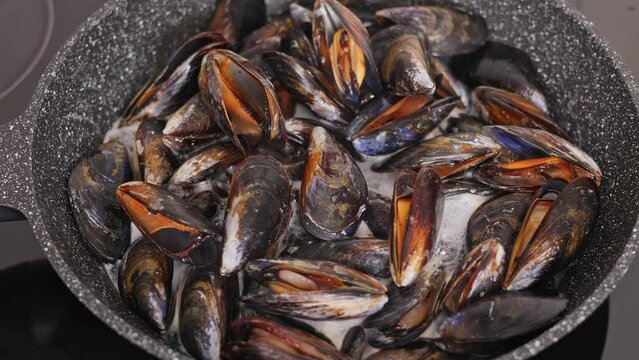 Cooking mussels in a pan at home. Mussels open up on the stove.