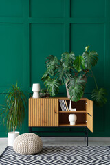 Interior of living room with drawers and Monstera houseplant © Pixel-Shot