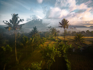 Fototapeta na wymiar Aerial Vista of Bali's Largest Volcano Mount Agung, Shrouded in Morning Fog, Amidst Palms and Rice Fields. Sunrise in the Countryside. A Vacation Destination in Asia's Indonesia