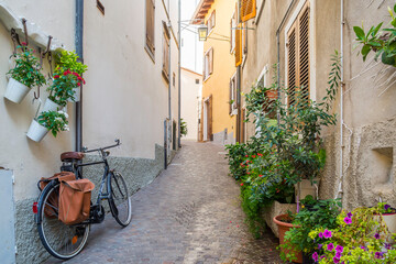 Narrow historical street in a city in Italy. A bicycle leans against the wall, green plants...