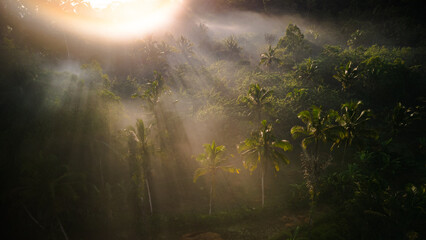 Naklejka premium Bali's Rural Oasis: Aerial View of Foggy Sunrise, Palms, and Jungle in the Countryside. Discover Indonesia's Charming Vacation Haven in Asia