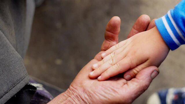 Close-up of an old man's hands placing a child's hand on a yak. The concept of old age and parental love for grandchildren. High quality 4k footage