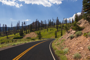 Road through Lassen Volcanic National Park, California