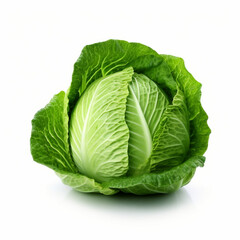 Beautiful and juicy cabbage on white studio background