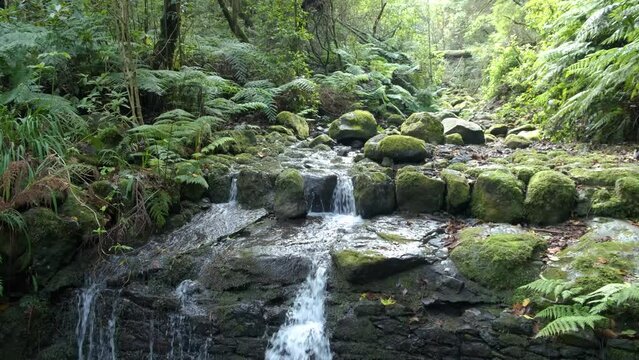 Waterfall at Levada trail Um Caminho Para Todos