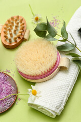 Composition with massage brushes, clean towel and eucalyptus branch on color background, closeup