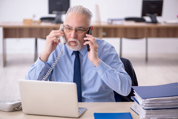 Old male employee working in the office
