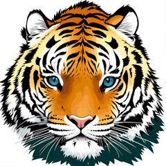tiger head with white background