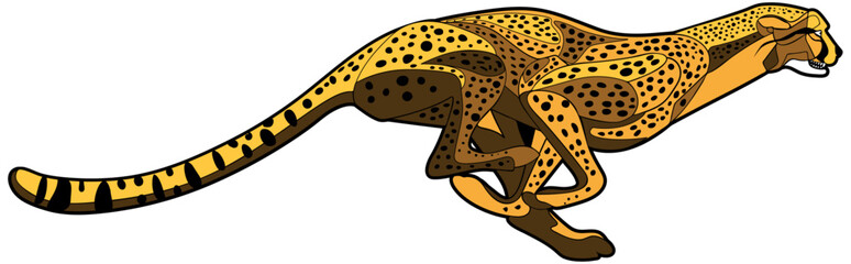 African Cheetah Running Vector Illustration Wildlife Animal Graphic © imarginarium