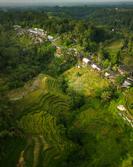 Fototapeta na wymiar Aerial Serenity: Bali's Traditional Village and Tegalalang's Lush Green Rice Terraces. Explore Asia's Authentic Vacation Destination in Indonesia