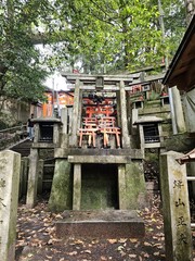 Plant Tree Chinese architecture Torii Temple Building