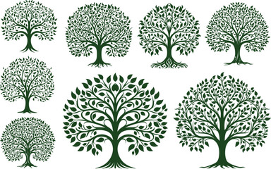 tree vector leaf illustration nature forest plant branch growth silhouette collection