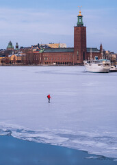 ice skating in front of the stockholm city hall