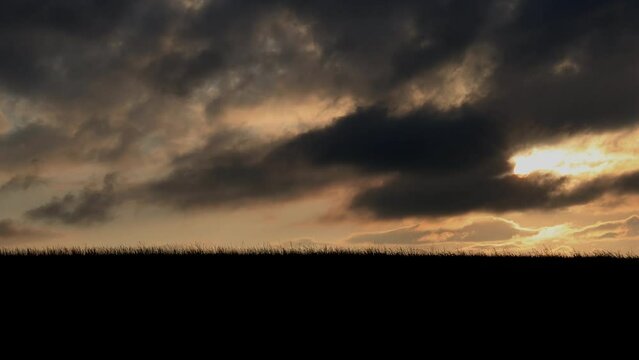an beautiful sundown in front of grass in the wind video