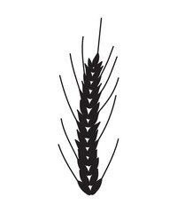 A simple isolated icon of wheat silhouette in black color for icons, webs, apps, fabrics