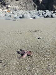 Ecoregion Natural environment Road surface Beach Body of water Asphalt