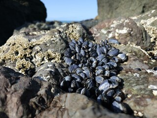 Sky Wood Bedrock Natural landscape Natural material Landscape
