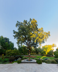 Sunny exterior view of a garden in Vineyards
