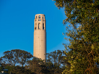 Obraz premium Sunny view of the Coit Tower