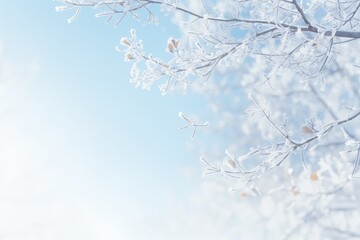 Snowy tree branches in blue sky winter nature background