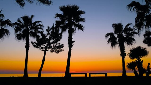 Silhouettes of palm trees on the embankment of the resort town after sunset. Unrecognizable people are walking along the waterfront against clear evening sky. Summer, paradise and tropical concept