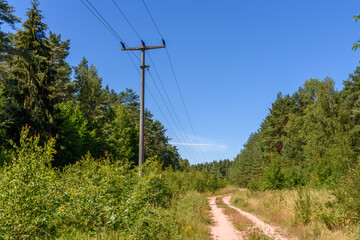Naturwald mit Forstweg und Strommast