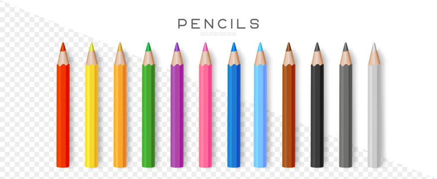 Color pencils. Set of realistic colored pencils or crayons isolated on transparent background. School equipment. Vector illustration