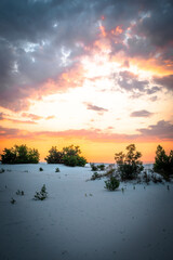 Sand quarry , sunset over the sand quarry , blue sky ,red sun , beautifyl clouds . Sand and trees . Trees stand on the quarry . Summer landscape . Golden sunset . Golden sun. 