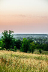 sunset over the forest