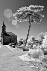 Old chapel and a special tree on the cemetery.