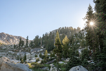 Fototapeta na wymiar Sun Bursts Through Forest with Sierra Mountains