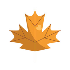 Obraz premium maple leaf illustration