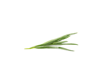 Fototapeta premium One sprig of fresh tarragon on white background