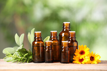 Bottles with essential oils, herbs and flowers on wooden table against blurred green background