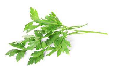 Fototapeta premium Sprigs of fresh green parsley leaves isolated on white