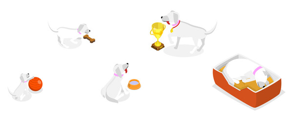 3D Isometric Flat  Set of Pets Growth Stages, Dog at Different Age