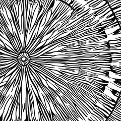 Black and white abstract graphics, vector drawing