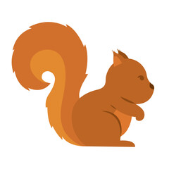 Isolated colored cute squirrel animal Vector