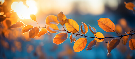 Autumn landscape with orange and yellow leaves on branch with morning sunlight ,autumn background,Generative AI