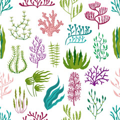 Underwater seaweed plants, aquarium algae seamless pattern. Corals and seaweeds vector background of marine flora with green kelp and laminaria, purple codium, gracilaria and rhodymenia leaves