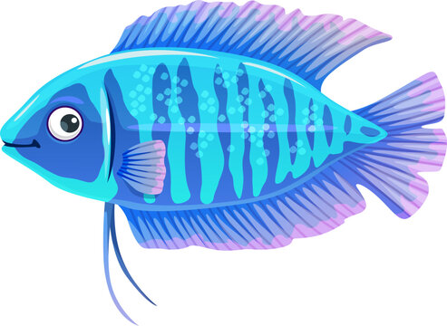 Cartoon aquarium fish. Isolated vector banded gourami or trichogaster fasciata is a freshwater fish known for its vibrant coloration and distinctive horizontal stripes. Adorable underwater animalV