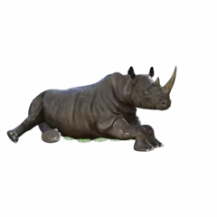 Deurstickers rhino isolated on white © Fahira