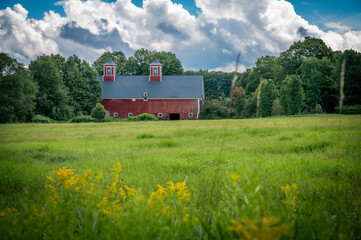 Peaceful scene of a red barn in a field surrounded by trees in Greensboro, Vermont, United States. Photo taken in August 2023.