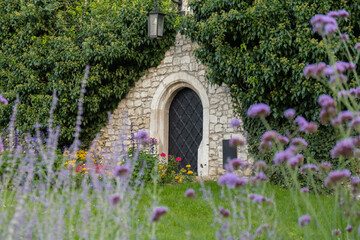 Wine cellar built from stones with violet flowers on foreground in Wawel Castle Krakow, Poland. Old gate in botanical garden. Blooming in flower bed at courtyard. Spring flowers blossoming in sunny